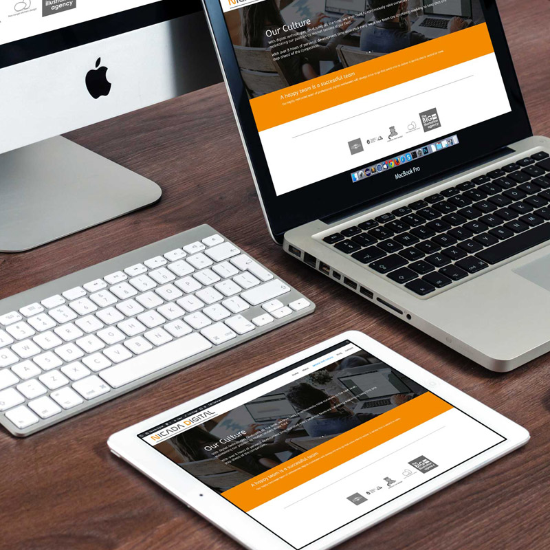small business website designers